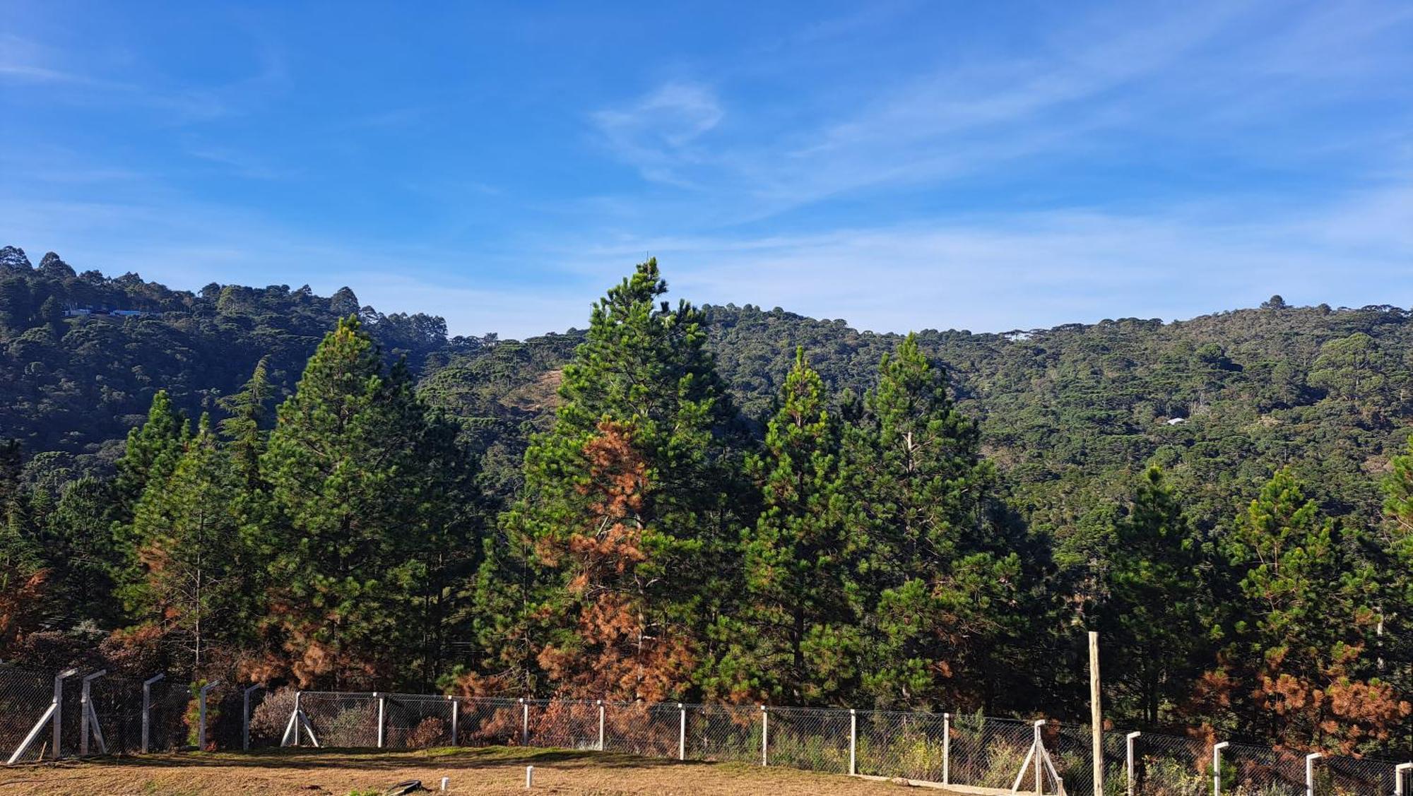 Chale Luz Do Luar Romantismo E Uma Linda Vista Campos do Jordão Buitenkant foto